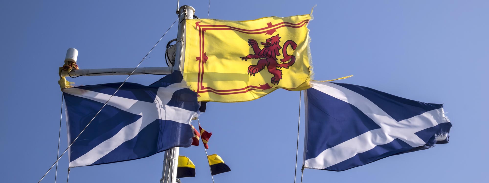 Flagge Schottland Ein Symbol der Nation