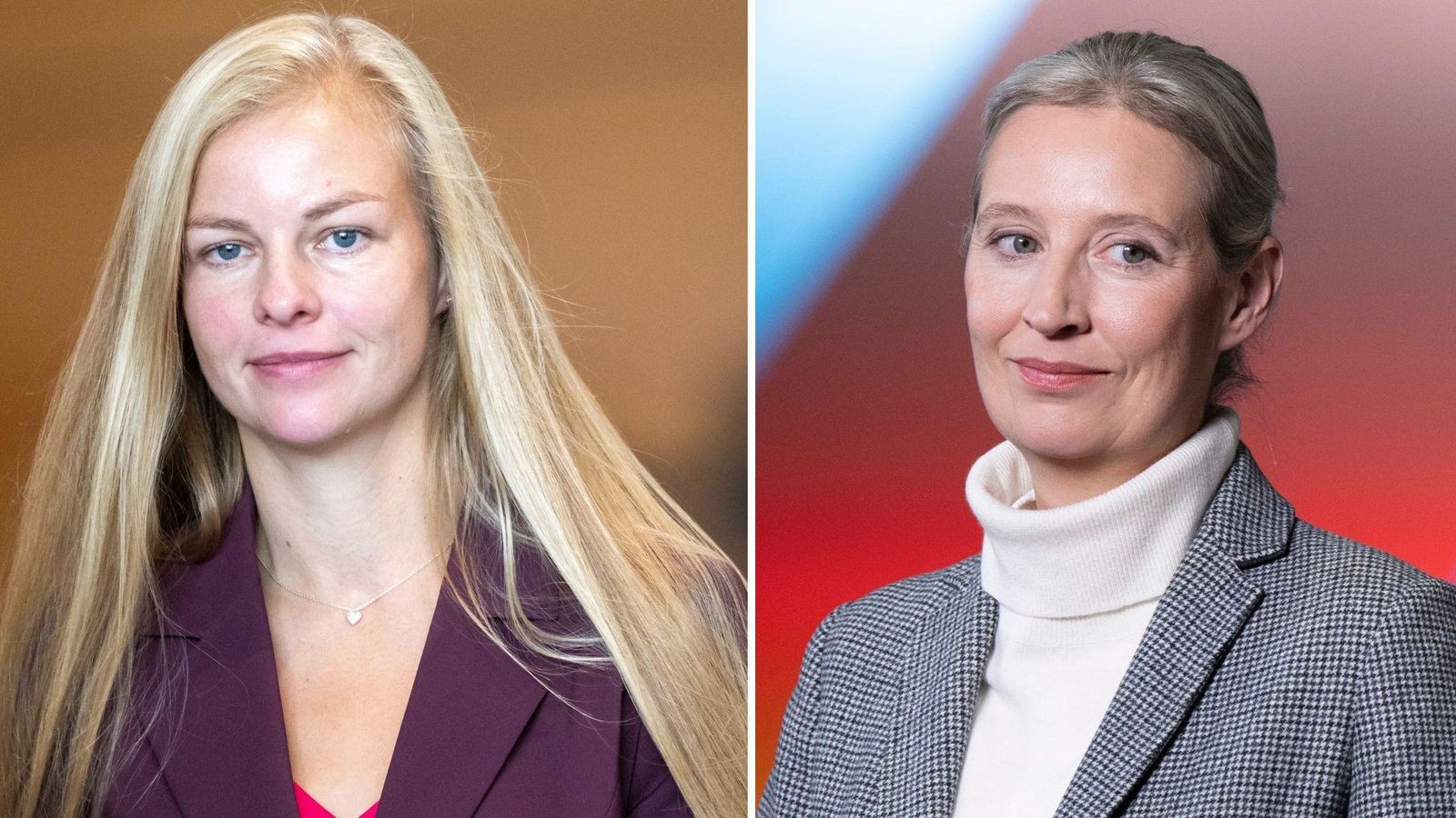 Alice Weidel Frau A Trailblazer in German Politics